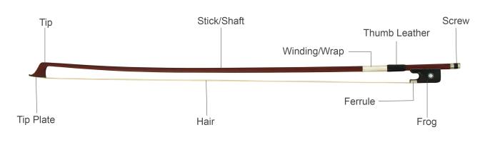 Parts of a cello diagram