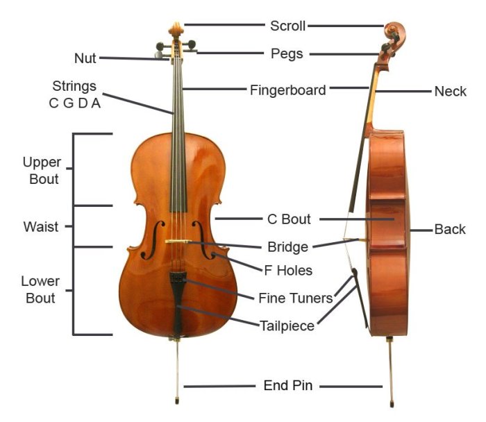 Parts of a cello diagram