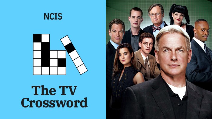 The s in csi crossword