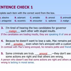 Chapter 3 sentence check 2 answer key