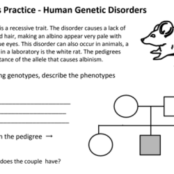 Pedigrees practice - human genetic disorders answer key