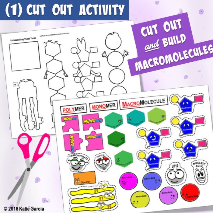 Answer key building macromolecules activity answers