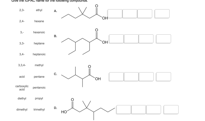 Give iupac names for the following structures.